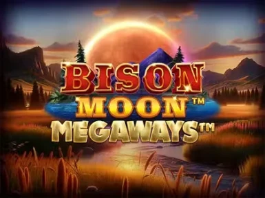 PiggyBet Casino screenshot